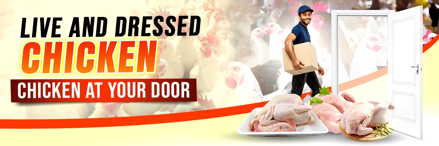 WhatsApp Image 2025-06-26 at 11.14.56_7da13b3e